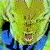 Animated icon shows a character with yellow hair and blue clothing, displaying three distinct facial expressions in sequence.