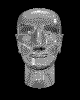 Pixelated grayscale 3D-rendered head in multiple views showing front, side, and back angles with smooth metallic surface and visible polygonal mesh structure.
