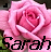 A pixelated pink rose with the name 'Sarah' in bold black text below, featuring a small dark shape on the left and a light pink square on the top right.