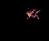 Animated firework explosion sequence showing six frames of a single yellow-orange firework against black background, arranged in 3x2 contact sheet layout with visible motion progression from small burst to full bloom and fading.