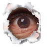 Three torn paper holes reveal a human eye opening and closing against gray background.