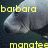A manatee's head appears in four with yellow text overlays, showing slight head movement and text changes