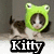 A kitten wearing a green frog hat with white eyes, positioned in a with text overlays