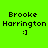 Four pixelated text-based icons display 'Brooke Harrington :]' with varying pink highlight placements on a bright green background.