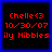 Four identical pixelated display red text on black backgrounds with blue borders, each showing 'Chelle<3', '10/30/07', and 'ily Nibbles' in a retro digital style