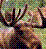 Pixelated static image of a moose with antlers against a blurred green and brown background, rendered in low-resolution digital style.