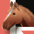 Brown horse head with white stripe on forehead, side profile against red and black background.