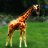 Pixelated image of a giraffe standing on green grass with dark foliage in the background, rendered in warm brown and orange tones.