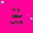 A bright pink background with repeated text 'it's allie bitch' in black pixelated font, scattered white and light pink stars.