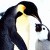 A pixelated penguin with black, white, and orange coloring stands against a bright background while green text reads "Original Icons .com" on the right.