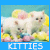 Two white kittens sit among yellow and pink flowers with a teal background; the left version has blue borders, right has purple.