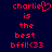 Red pixelated text on dark blue background reads 'charlie is the best bff!<(33' with a heart symbol replacing the 'o' in 'charlie' on the left side.