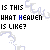 identical pixelated text displaying 'IS THIS WHAT HEAVEN IS LIKE?' with blue-highlighted 'HEAVEN' and faint watermark patterns, some showing partial 'here in your omis.' text