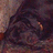 A pixelated image shows a dark, indistinct figure on the left with pink text reading 'chester' on a black background to the right.