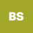 Static pixel art icon with white 'BS' letters on olive green background, rendered in blocky low-resolution style.