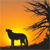 Animals icons for AIM, MSN, MySpace and Yahoo