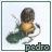 iconhell_napoleonfan1_pedro the lion