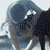 A static image with repeated animal silhouettes, overlaid text in black and red, and a URL at the bottom.
