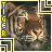 Pixelated tiger face with striped fur, pink nose, and yellow text 'TIGER' vertically on left edge.