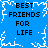 Blue background with white pixelated border and central snowflake, displaying 'BEST FRIENDS FOR LIFE' text in four quadrants.