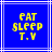 Blue background with white lines and yellow pixelated text reading 'EAT SLEEP T.V' in three centered