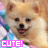 iconhell_meagatronbomb_pomeranian