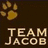 Pixelated buddy icon with brown background, paw prints, and text variations including "TEAM JACOB" and "NOT!".