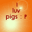 Orange background with text 'I luv pigs : P' in dark red, featuring a bright light effect that shifts position across frames.