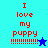 A split-screen digital image with four quadrants displaying red text "I love my puppy !!!!!!!!!" and a star symbol, where the top-left quadrant has cyan background and blue star while bottom-left has dark blue background and light blue star.
