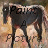 Pixelated static image of a dark-furred animal with light-colored legs and face, standing against a blurred background.
