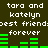 Pixelated text reads 'tara and katelyn best frienddoest friends forever' with green bar graphs on a dark background, repeated in two