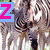 six pixelated images with pink letters and zebra-themed elements on green tiger-stripe backgrounds