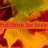 Animated sequence showing a leafy background with red berries and orange text reading 'falltime for love' in the top-left corner.