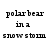 Pixelated text reads 'polar bear in a snow storm' above a solid gray rectangle on white background.