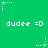 Green background with repeated white pixel text 'dudee =D' and star-shaped icons in various positions.