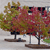 Three stylized trees with autumn-colored foliage stand on a light gray background, each with a dark brown trunk and base.
