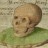 Pixelated image of a human skull in profile view with green fabric background.