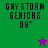 Four display 'GHYSTORM SEMIORS 08' text with a star icon changing color between green and purple backgrounds
