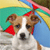 A pixelated dog with brown and white fur holds a colorful striped umbrella, standing against a blurred background of green and yellow tones.