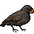 Pixelated bird with dark gray and brown plumage, orange beak, black eyes, and white feet standing against a light gray background.