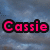 Pixelated text 'Cassie' in bright pink with black outline on blue-gray pixelated background.