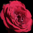 Static pixelated image of a red rose with layered petals against black background, rendered in low-resolution 48x48 format with visible dithering and color blending.