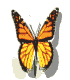 Six butterfly icons arranged in two of three, each showing a monarch butterfly with orange and black wings against white backgrounds
