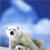 Animals icons for AIM, MSN, MySpace and Yahoo