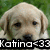 Pixelated close-up of a light-colored dog's face with dark eyes and nose, set against a green background with white text overlay reading 'Katina<33'.