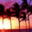 Pixelated static image of palm trees against a sunset sky with gradient colors from purple to orange.
