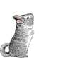Gray cartoon chinchilla with pink nose and ears stands upright, tail curled, in five of five repeated poses on white background