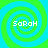 Four identical pixelated spiral patterns in green and cyan with the text 'SaRaH' in white pixelated font centered on each spiral.