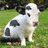 Pixelated image of a black-and-white spotted cow standing on green grass with red text "MOO!" to the right.