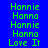 Green pixelated text on blue background cycles through 'Hannie', 'Hanna', 'Love It' in vertical pairs with no animation changes.